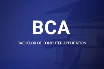  B C A Web Development Internship