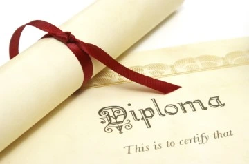 Diploma Web Development Internship