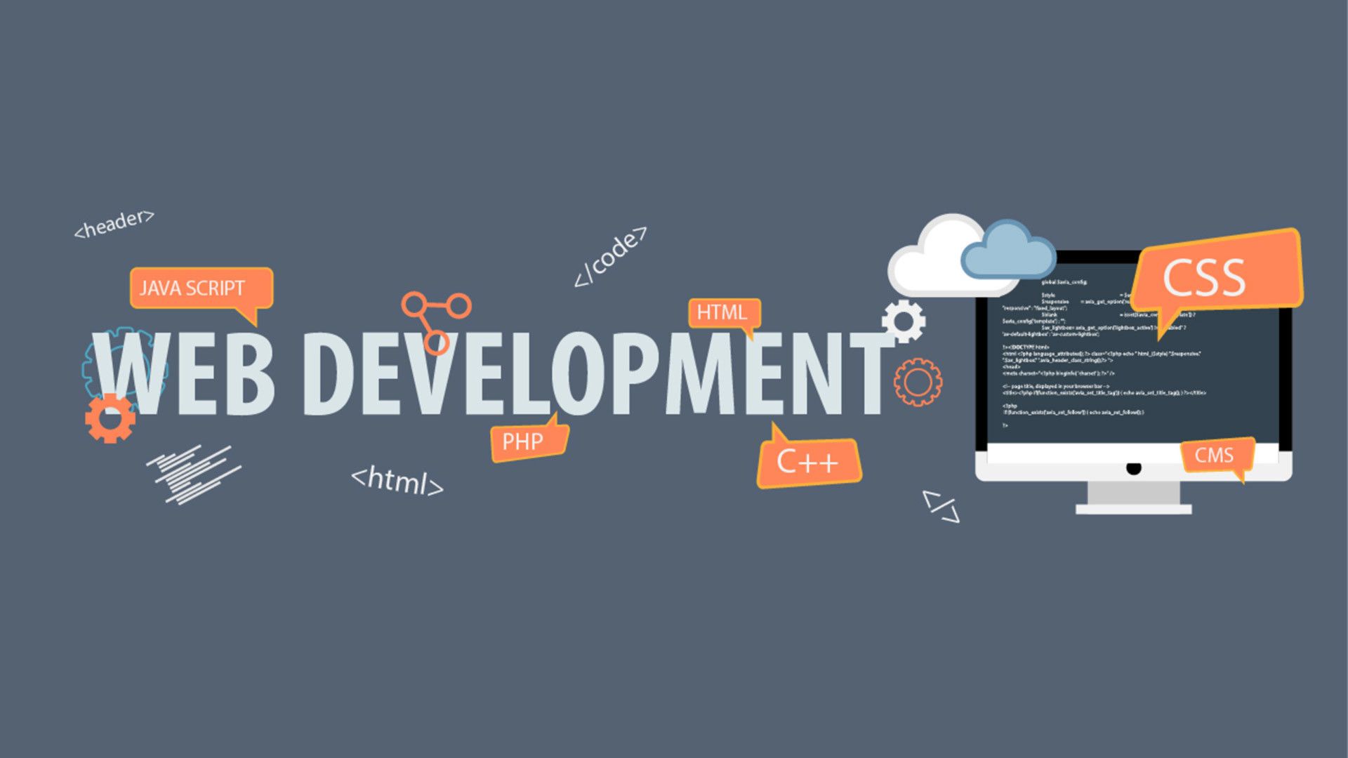 Diploma Web Development Internship